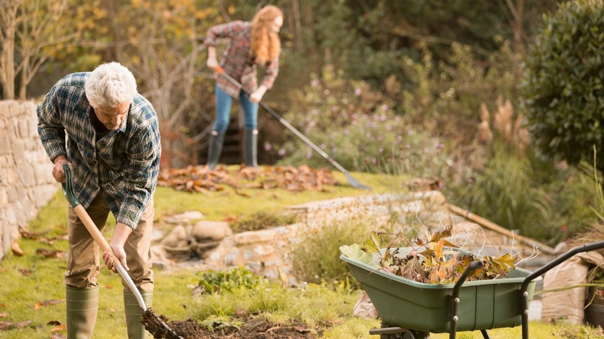 Gartenarbeit im Herbst: Soll ich meinen Rasen jetzt noch mähen? Das sind die Gartenjobs im Herbst