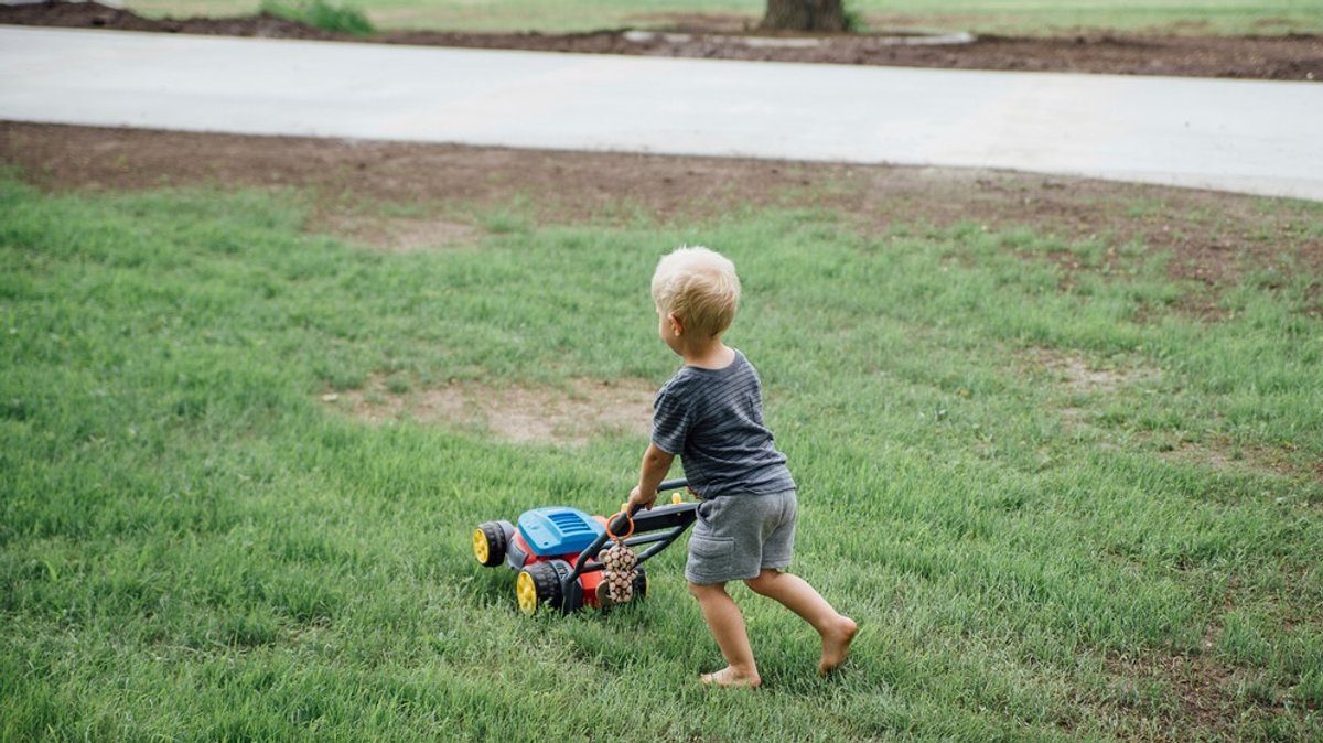 Rasen richtig pflegen: Diese 6 Mythen über Rasenpflege sind falsch