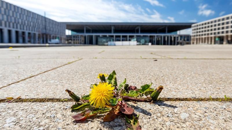 Eroffnung Des Flughafens Ber Im Herbst An Den Start Br24