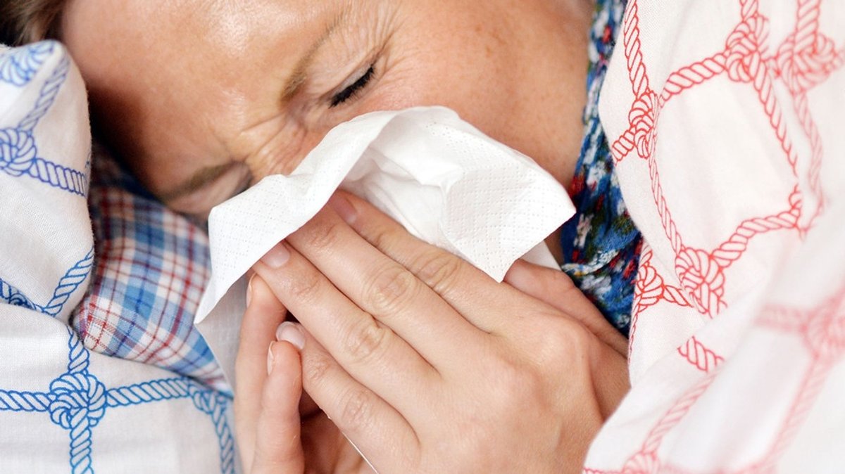 Hilfe, die Erkältungszeit kommt!: Wie schützen wir uns gegen Grippe, Corona & Co.?