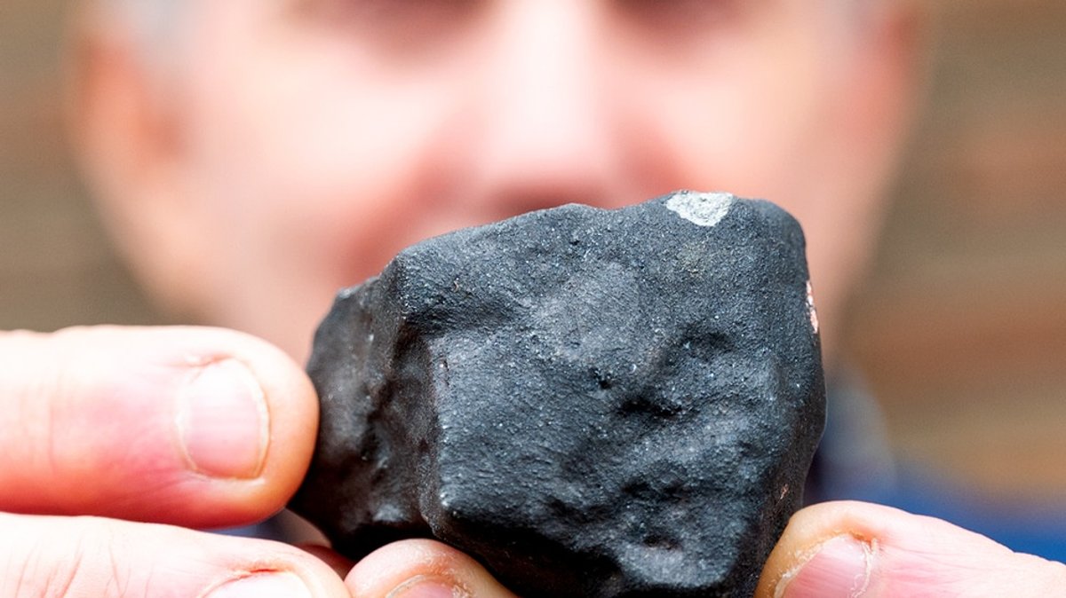 Elmshorner Meteorit: Bote aus ursprünglichem Sonnensystem