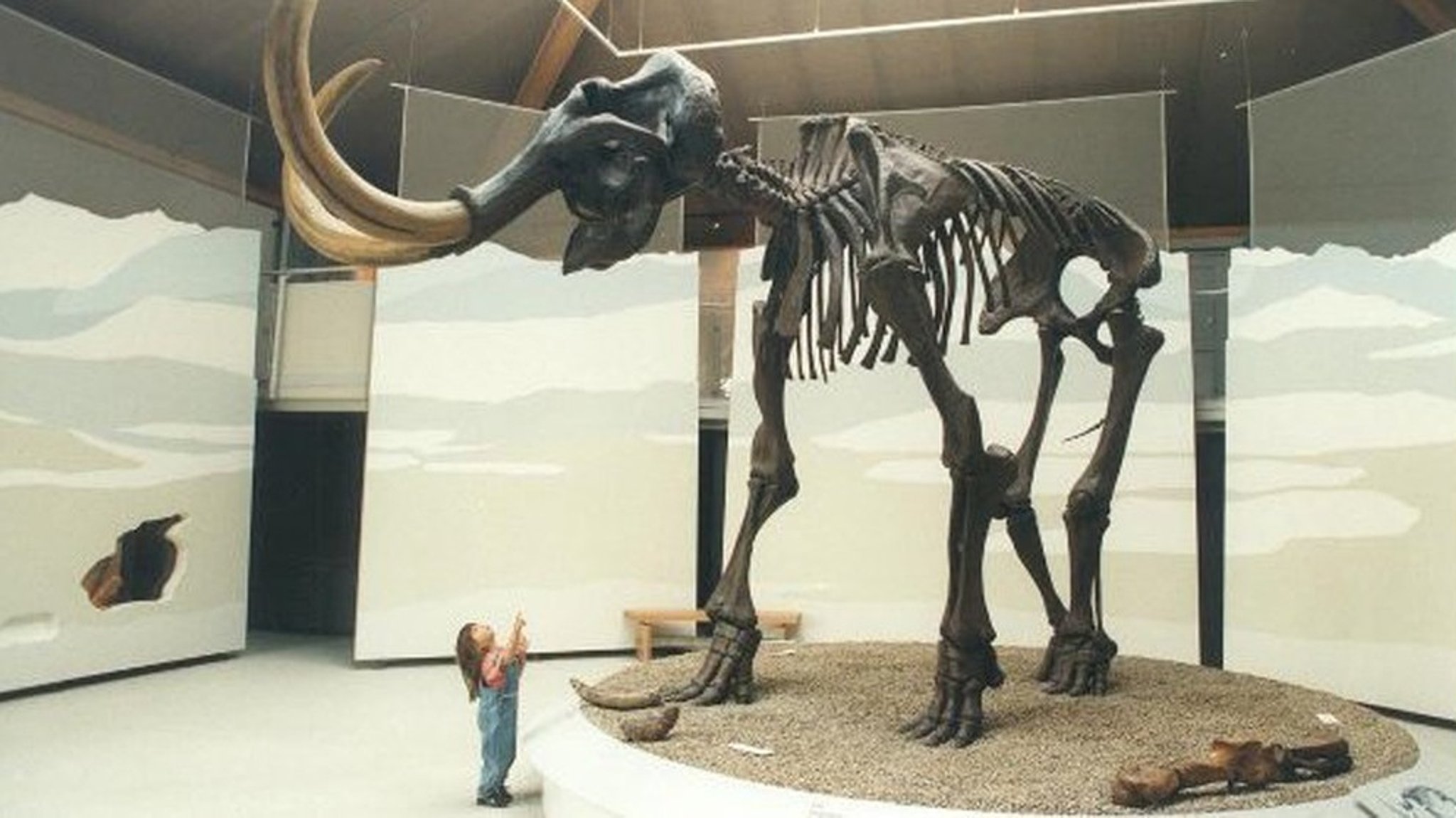 Drive by Bayern: Naturkunde-Mammut-Museum Siegsdorf