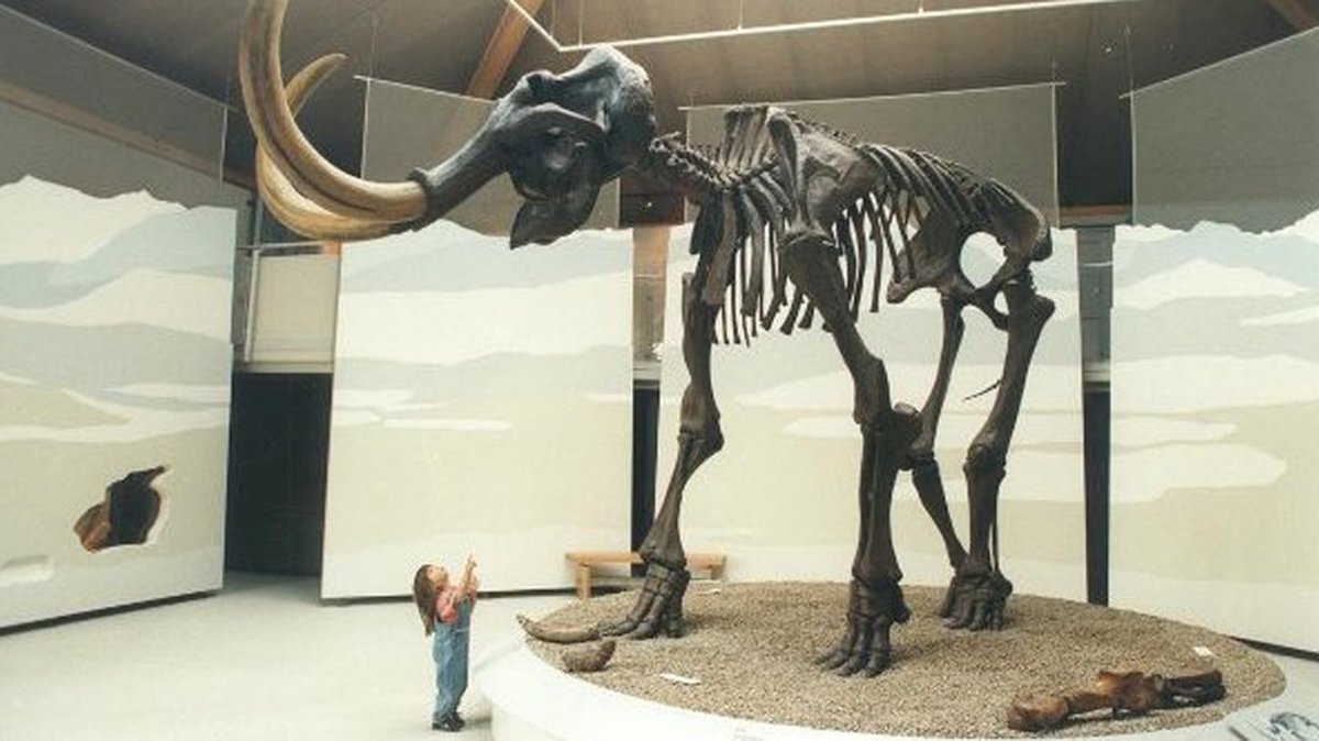 Drive by Bayern: Naturkunde-Mammut-Museum Siegsdorf