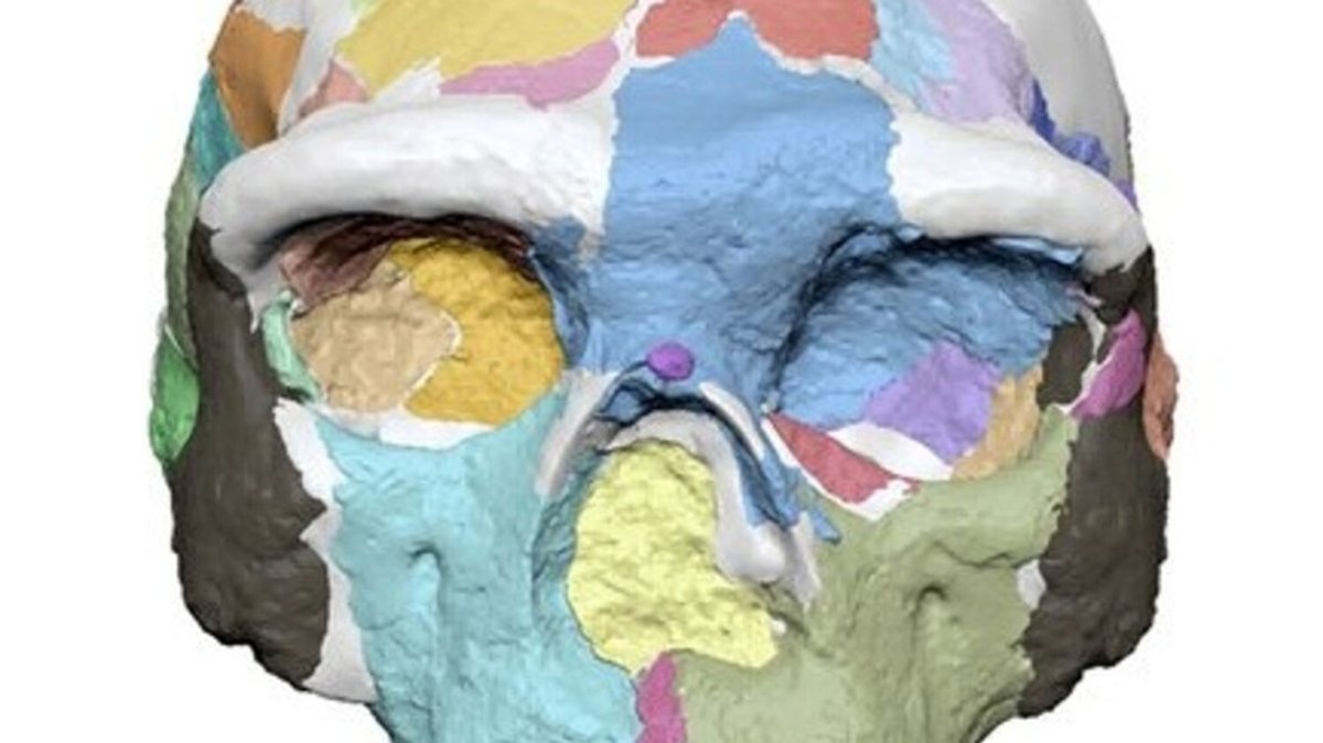 IQ - Wissenschaft und Forschung: Homo sapiens - Ist er älter als gedacht und kommt aus Asien?