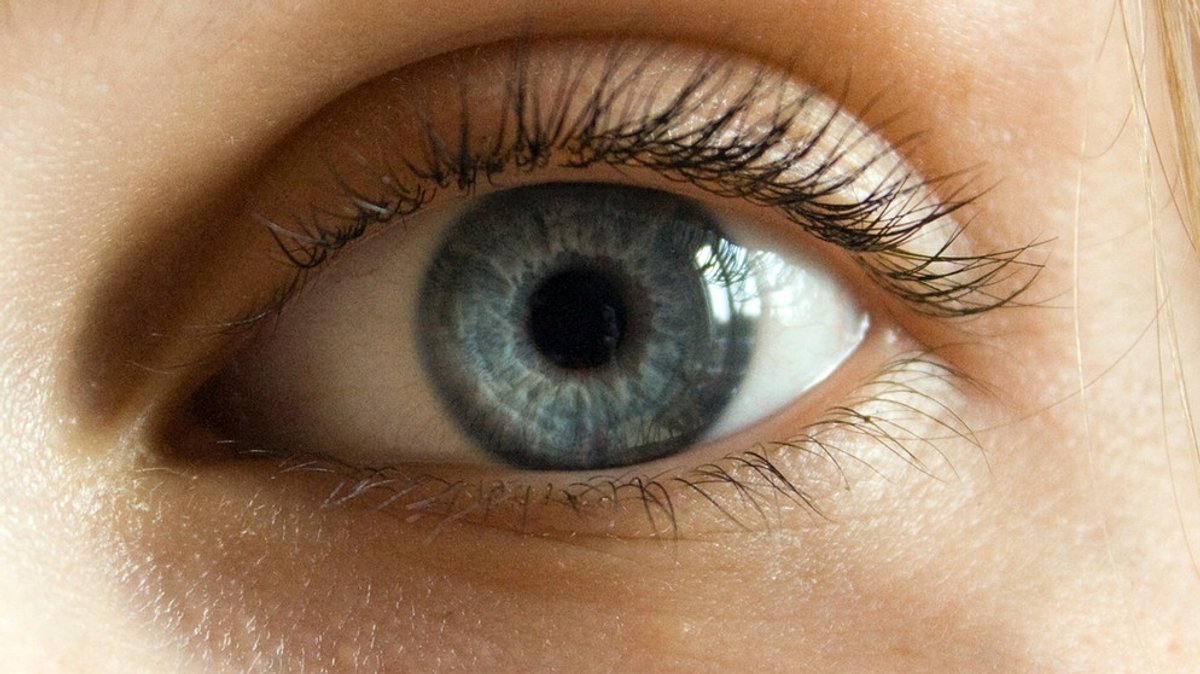Gutes Sehen: Augenheilkunde