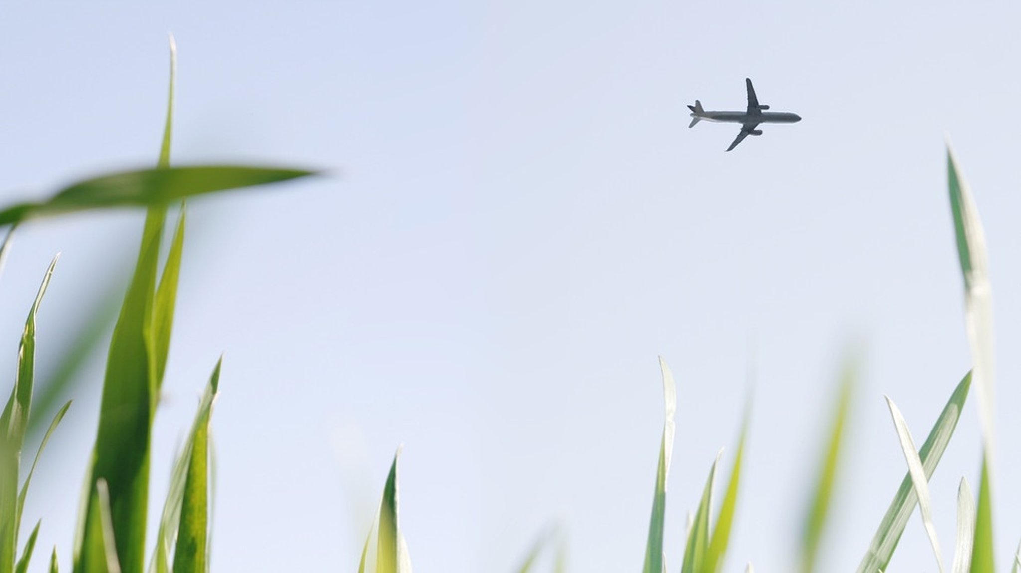 Grüner fliegen?