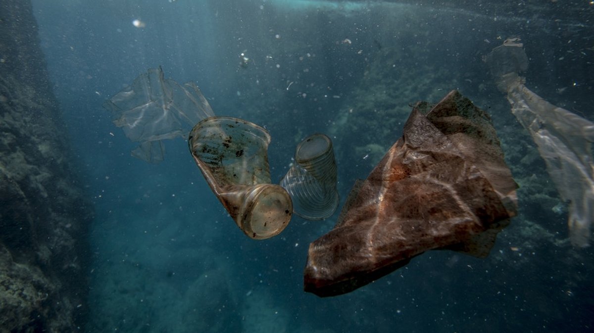 Vermüllte Weltmeere: Wie die Plastikkrise den Lebensraum Ozean bedroht