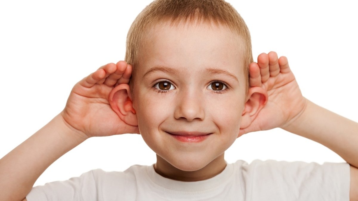 Das Ohr: Wie Hören unser Leben prägt