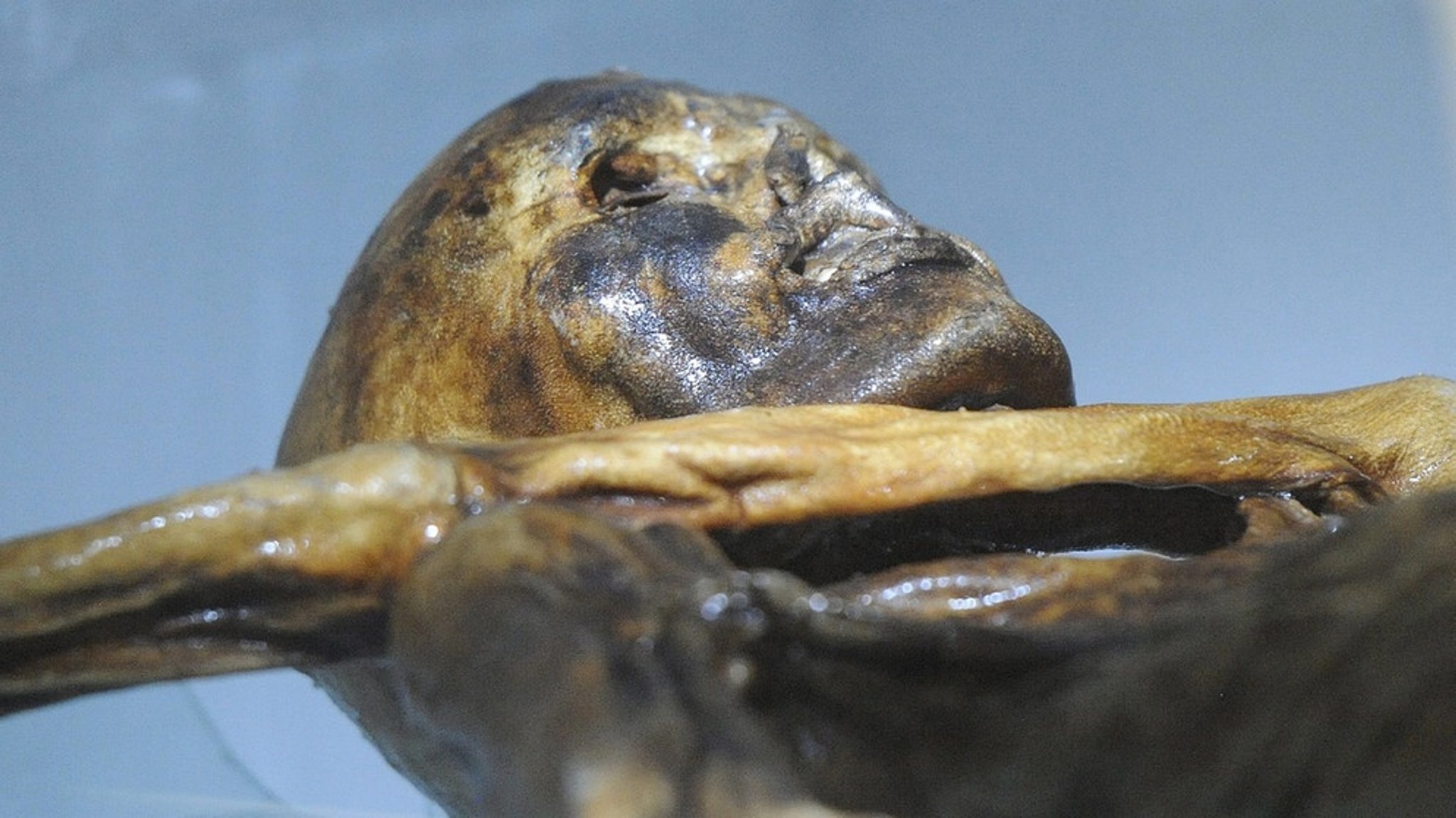 Ötzi