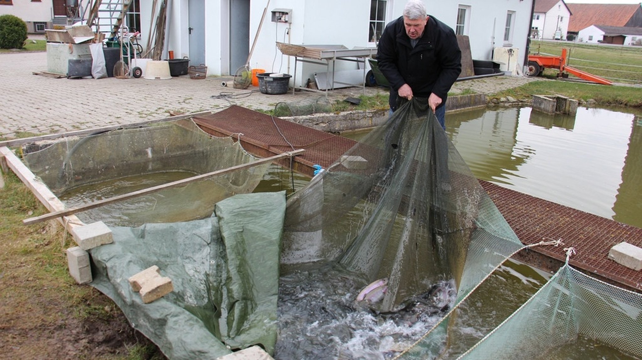 Oberpfälzer Teichwirtschaft: Die Hüter der Weiher und ihre feinen Fische