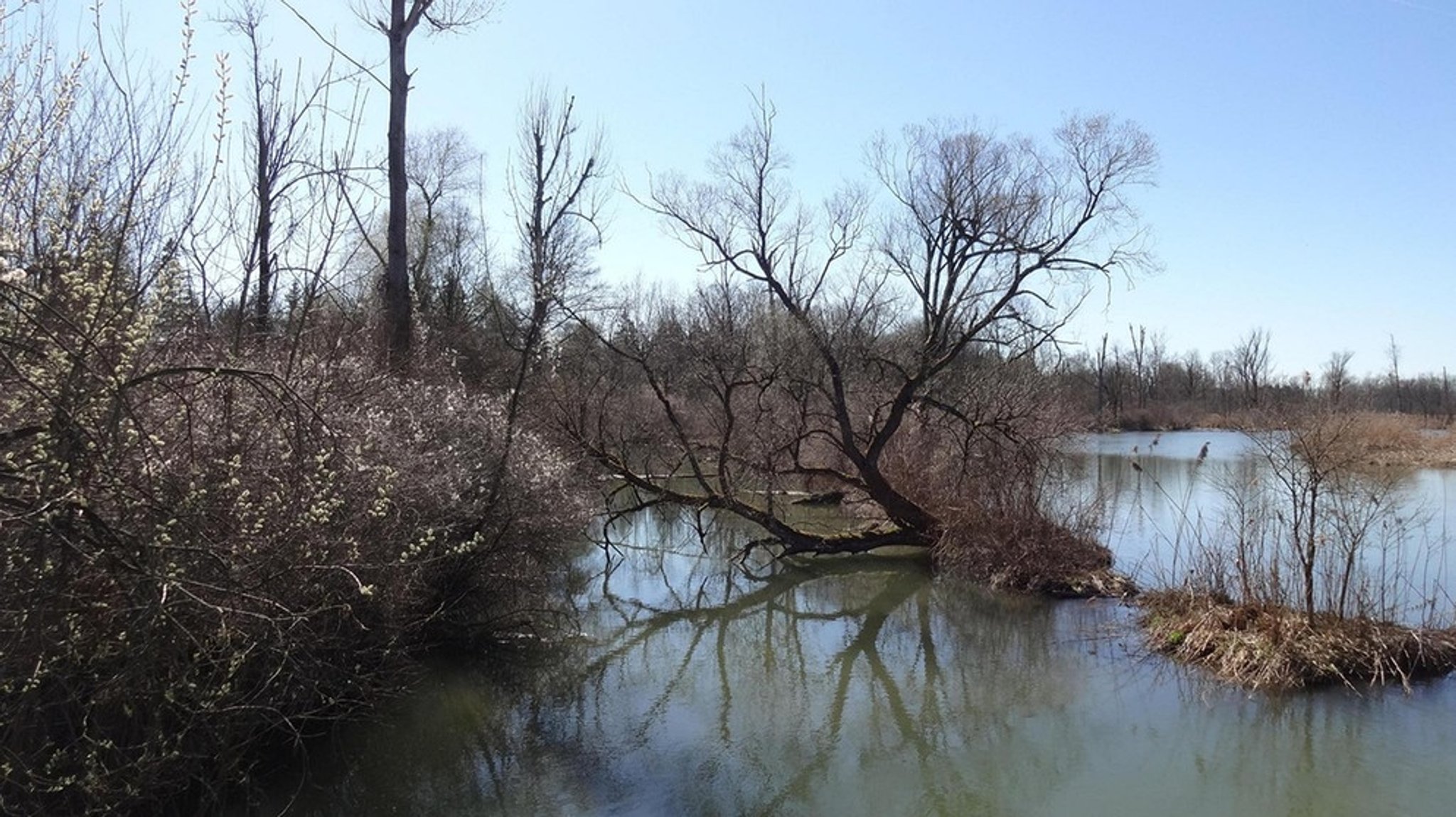 Aus dem Mündungsdelta: Isaramazonas