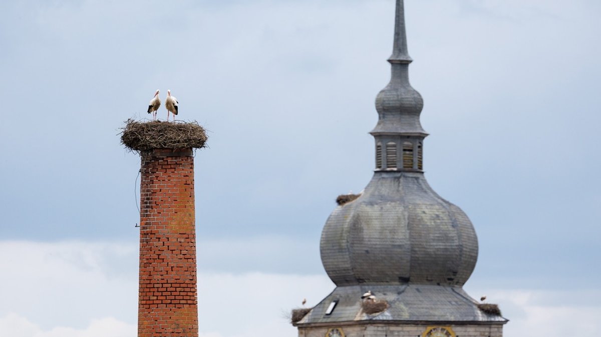 Der Storch ist da: Meister Adebar in Franken