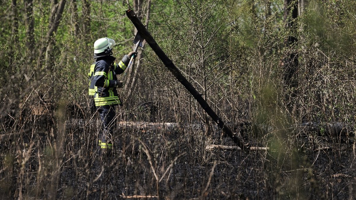 Eine unterschätzte Gefahr?: Waldbrände in Deutschland