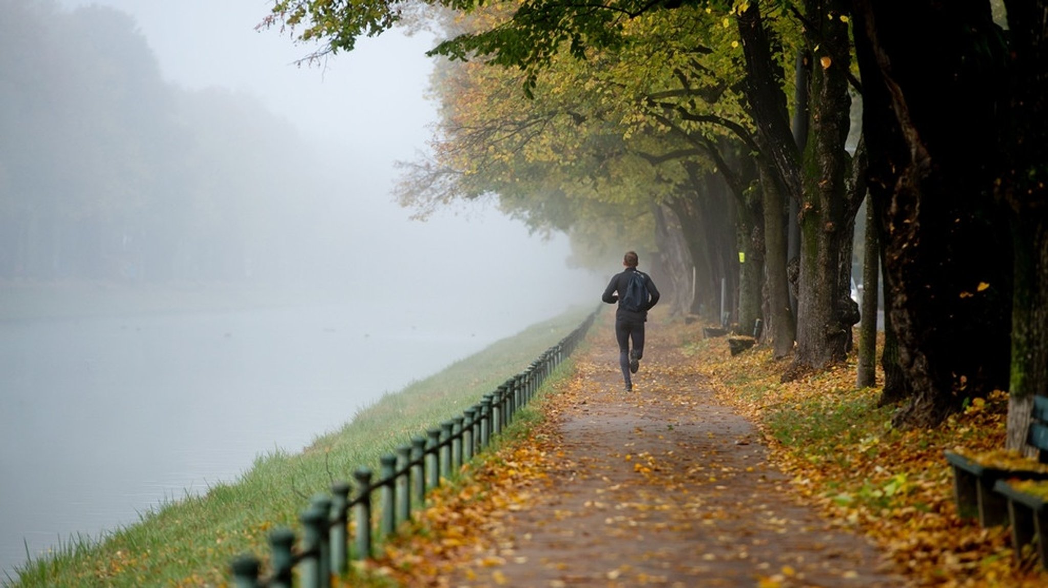 Alles nur eine Frage der Einstellung: Frühsport bei Nebel und Niesel 