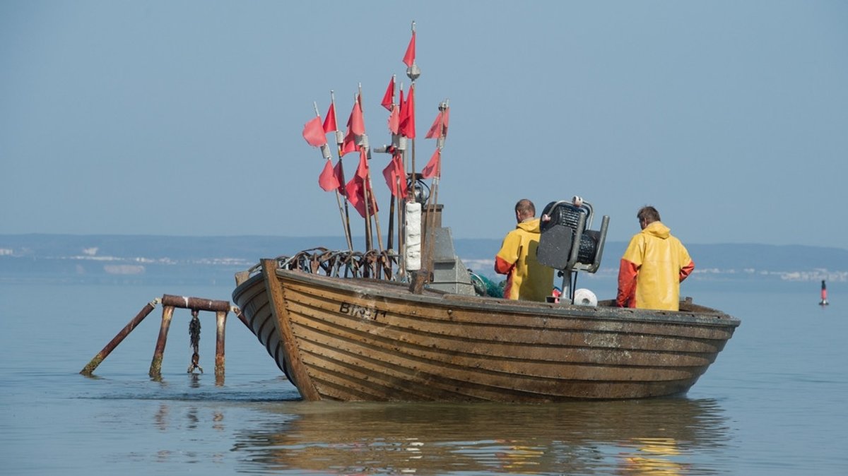 SOS für die Ostsee : Wegen der schlechten Wasserqualität schrumpfen die Fischbestände immer mehr
