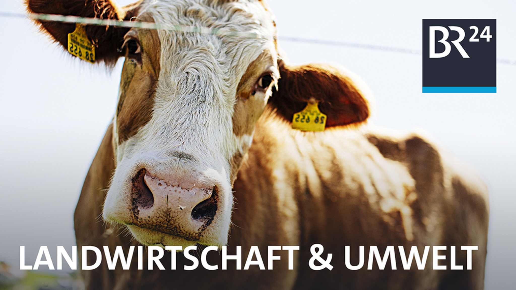 Aus Landwirtschaft und Umwelt