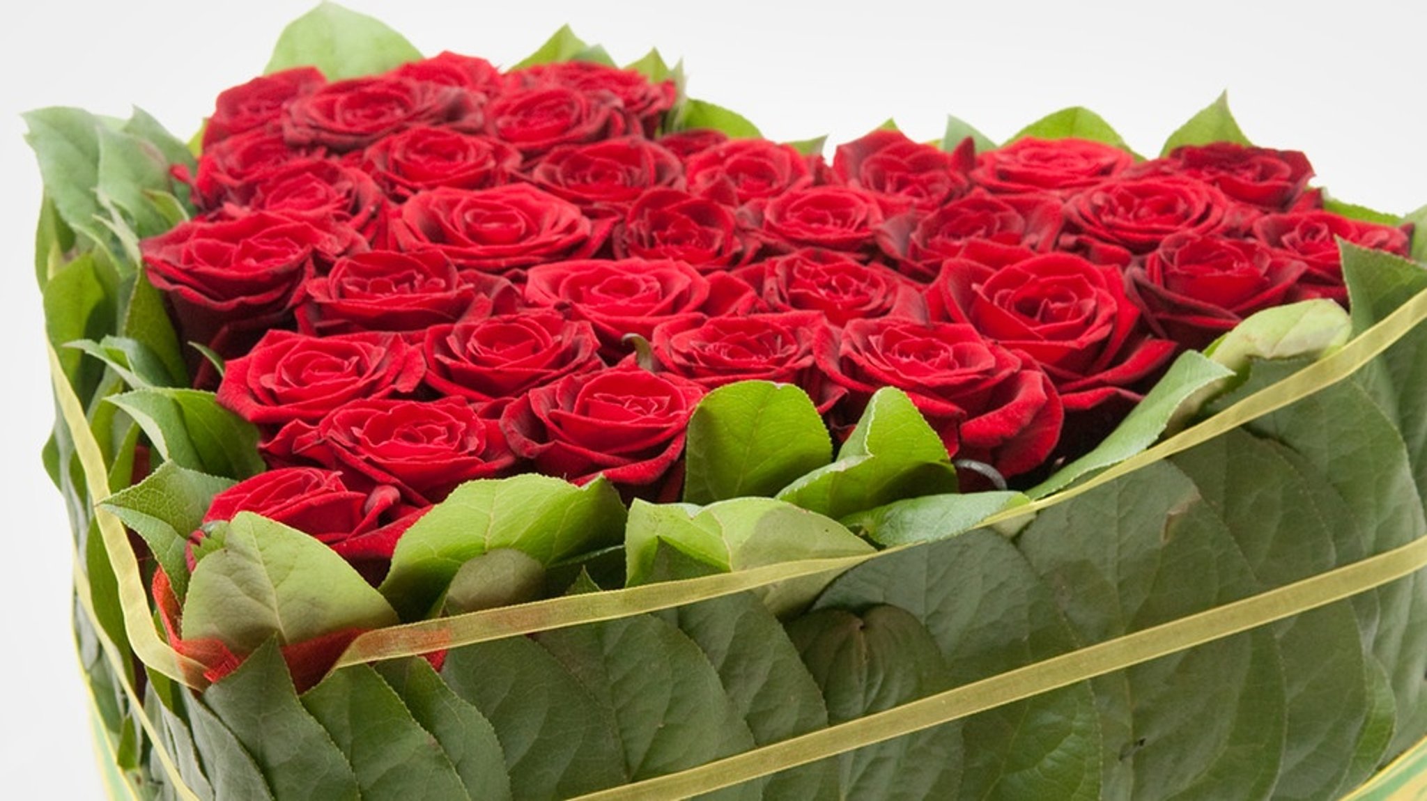 Valentinstag: Frühlingsgefühle mitten im Winter