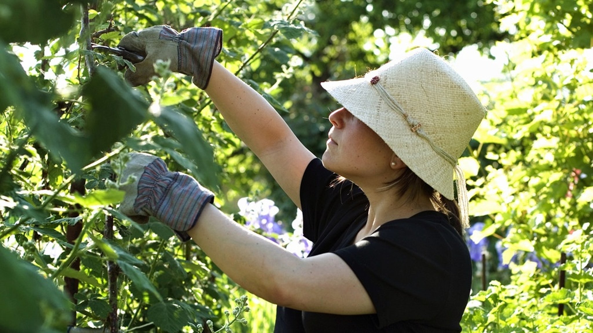 Erste Schritte im Garten 