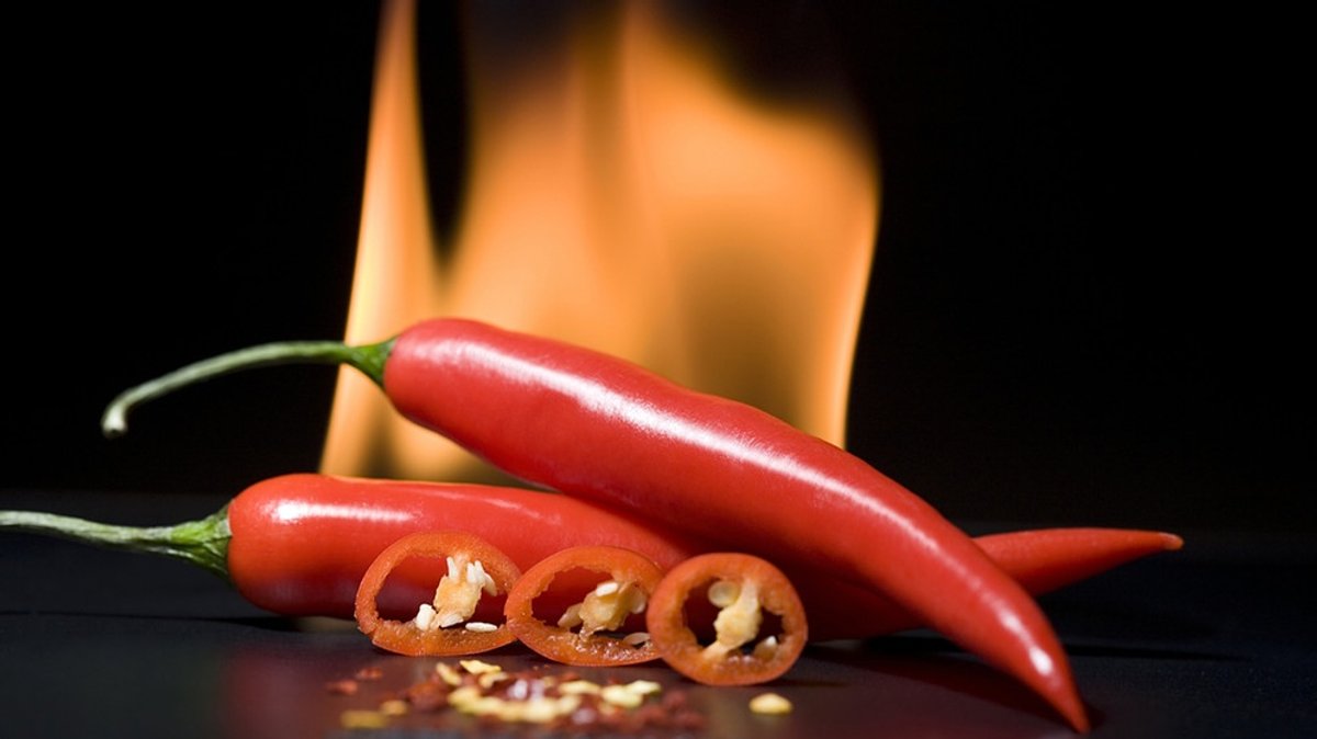 Scharfe Chilis: Süchtig nach dem Pepper-High